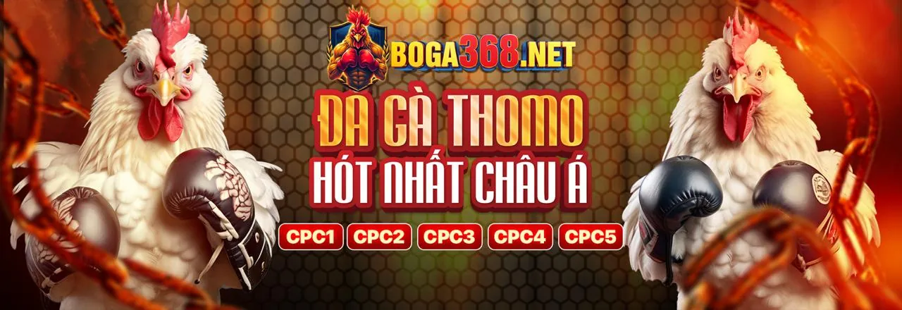 Hình ảnh Điều khoản Dịch vụ 29tg88, một nền tảng an toàn